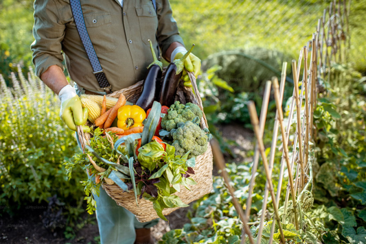 Unlock the Power of Organic: Debunking Common Myths