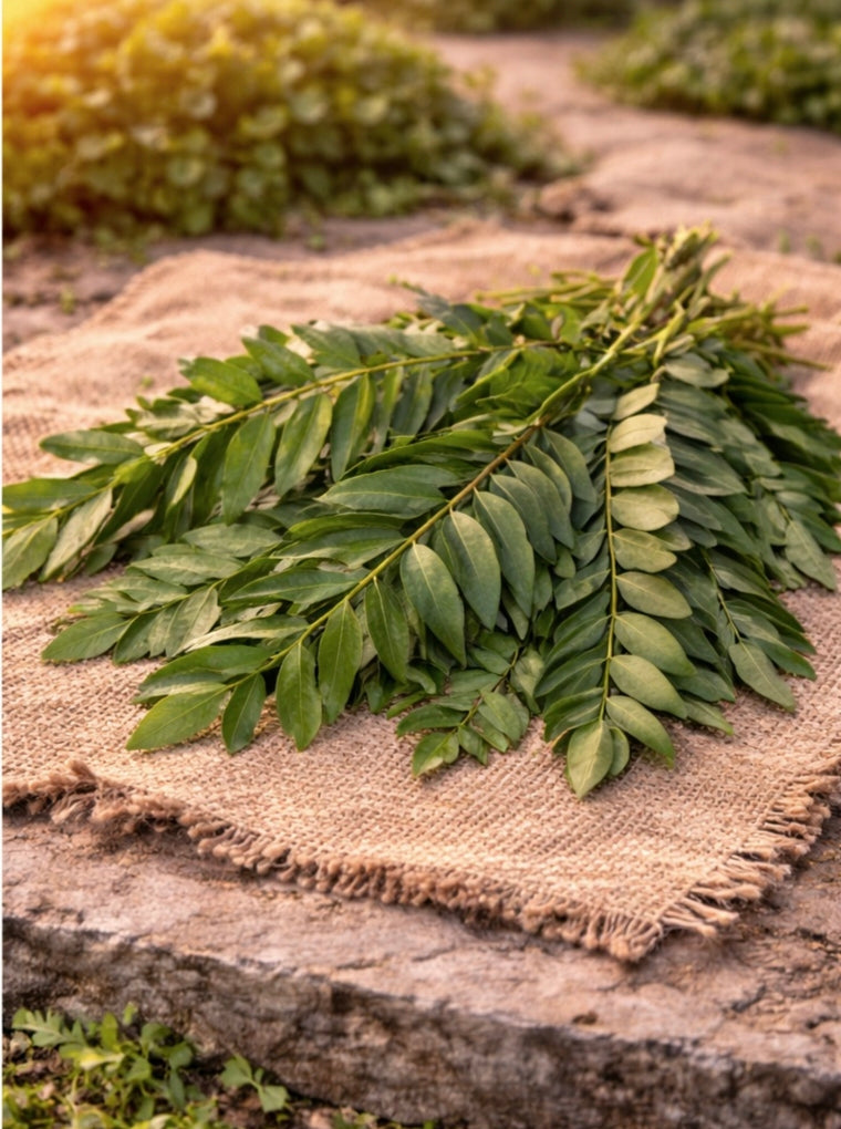 Curry leaves
