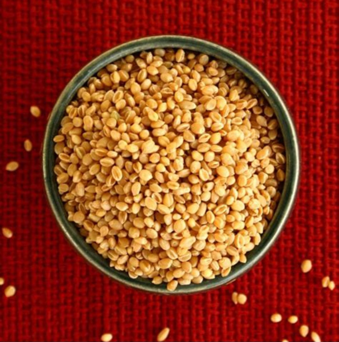 Organic Paigambhari Wheat