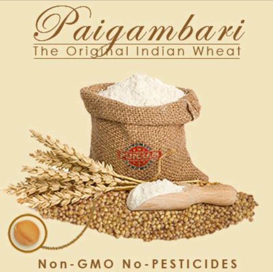 Organic Paigambhari Wheat