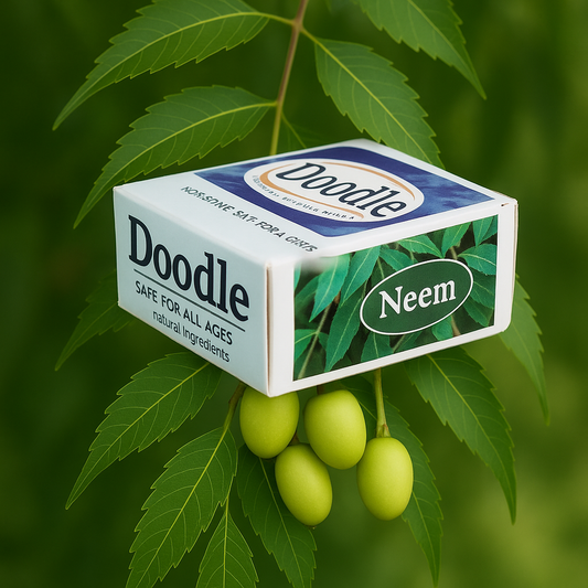 Neem_Doodle Soap