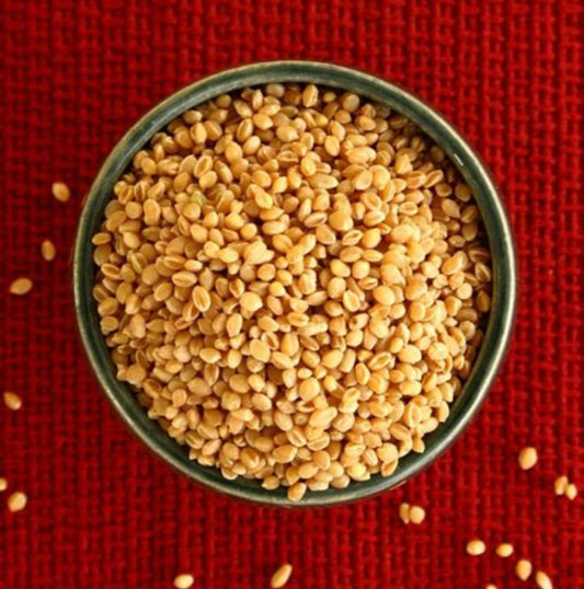 Organic Paigambhari Wheat