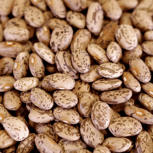 Organic Pinto Beans