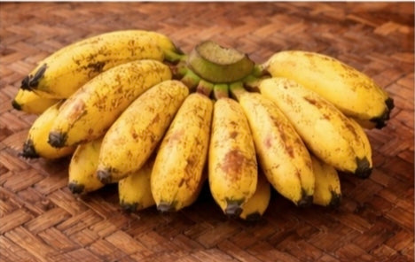 Rastali Banana