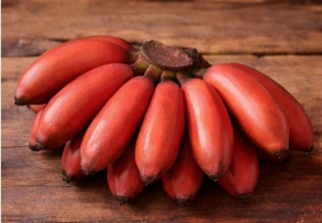 Red Banana